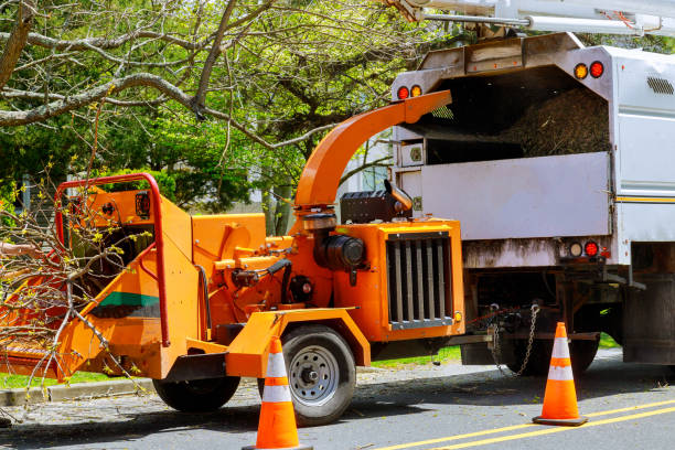 Reliable Richfield, MN Tree Removal and Landscaping Services Solutions